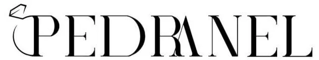 Pedranel-logo-N