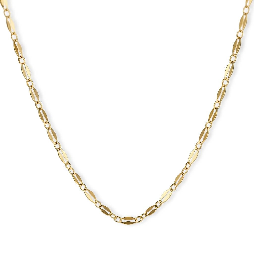 Colar Elo Palmier Premium